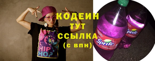 не бодяженный Заводоуковск