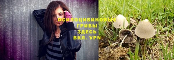не бодяженный Заводоуковск