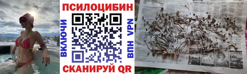 Купить закладки Лукоянов Псилоцибиновые грибы Psilocybine cubensis